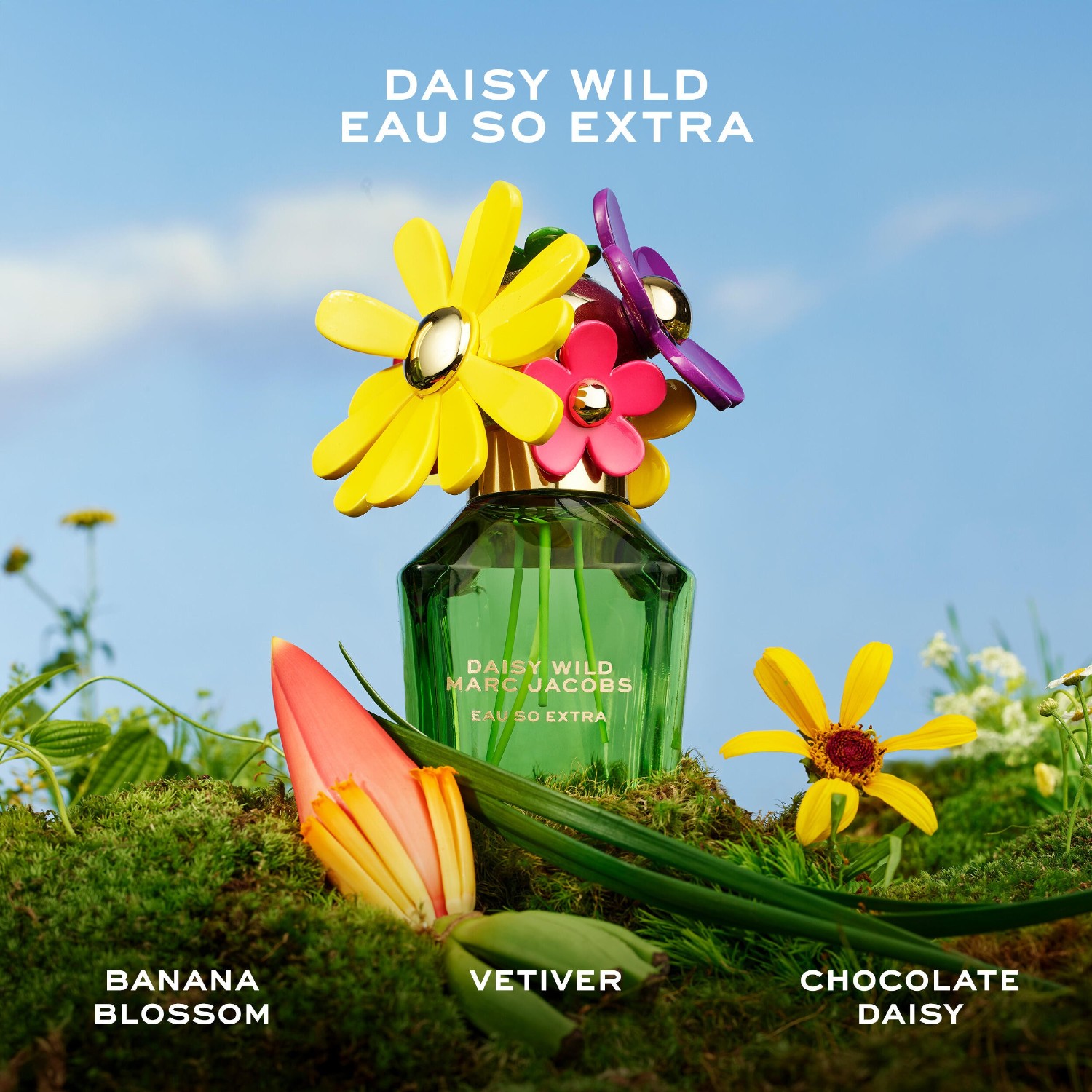Daisy Wild Eau So Extra Parfum Spray