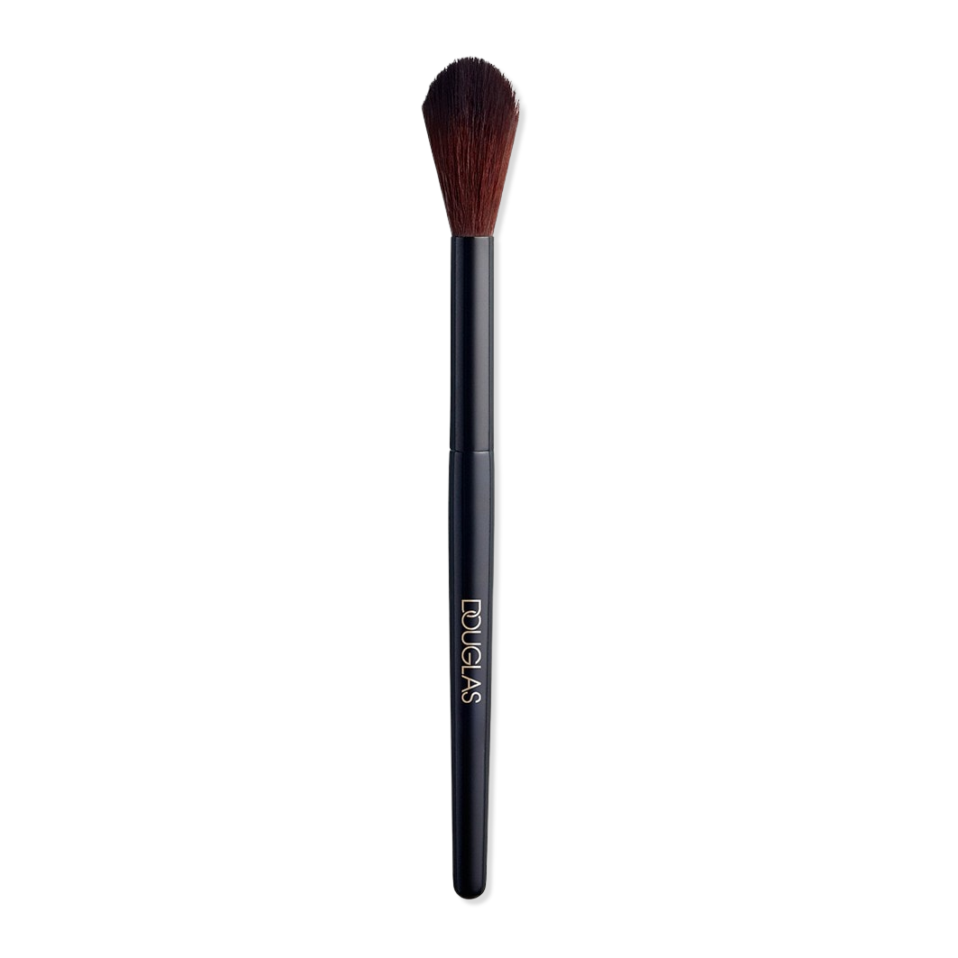 Expert Brushes Highlighter Brush 125