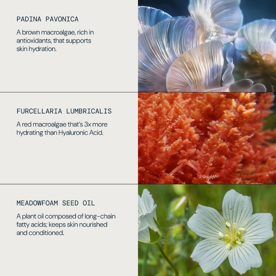 Pro Collagen Rose Micro Serum