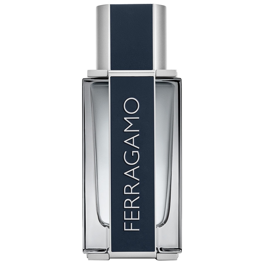 Ferragamo Men Eau de Toilette Spray