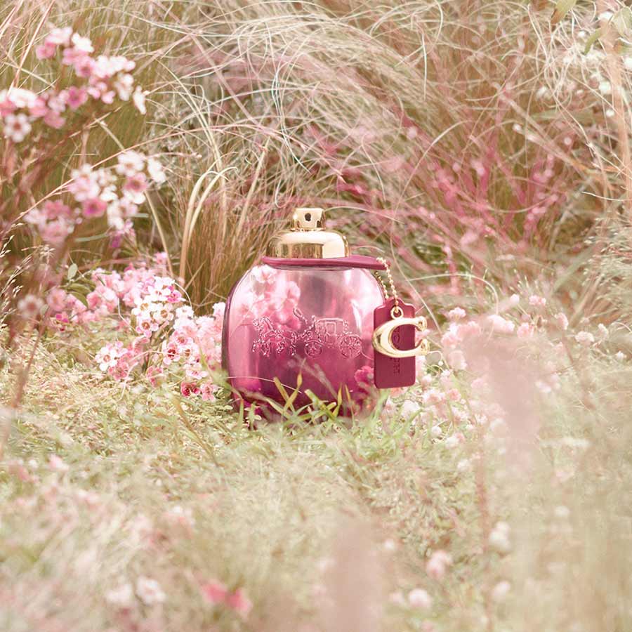 Wild Rose Edp Spray