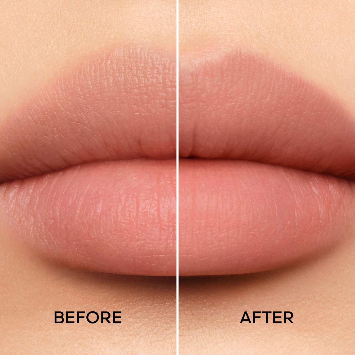 Bee Lift Primer