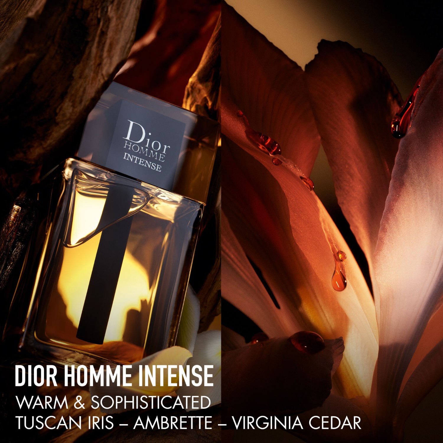 Dior Homme Intense  - Eau de parfum intense