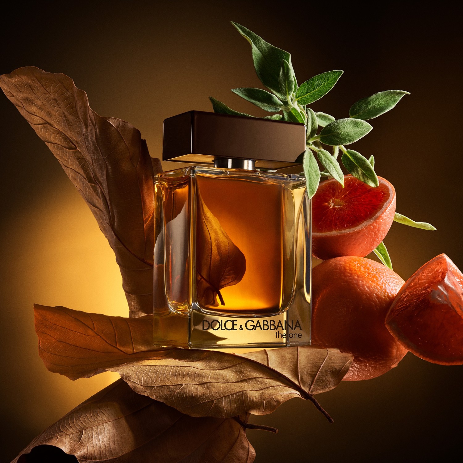 The One Men Eau de Parfum Spray
