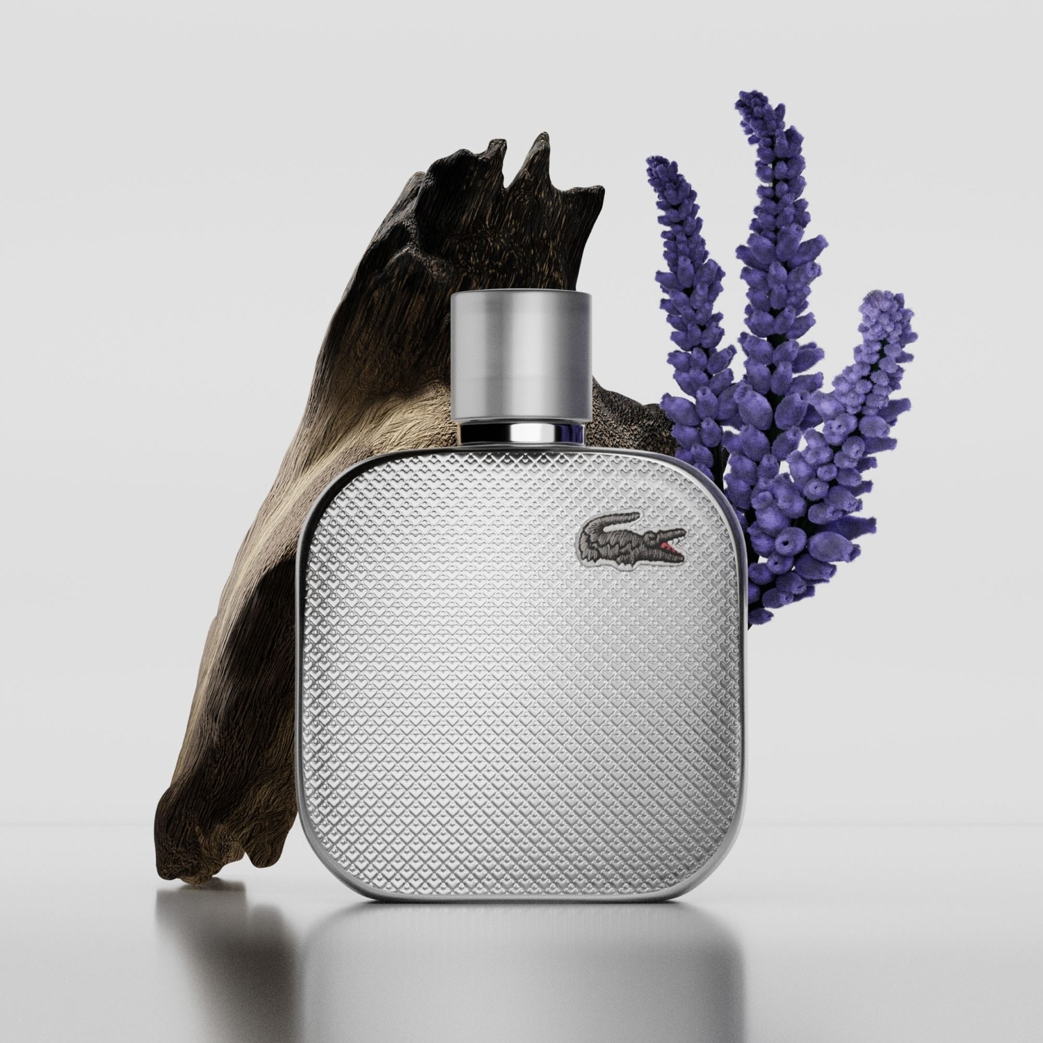 Silver Grey Eau de Parfum Spray