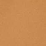 42 - Tan Neutral