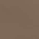  05 - Ash Brown