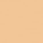  202 Soft Beige