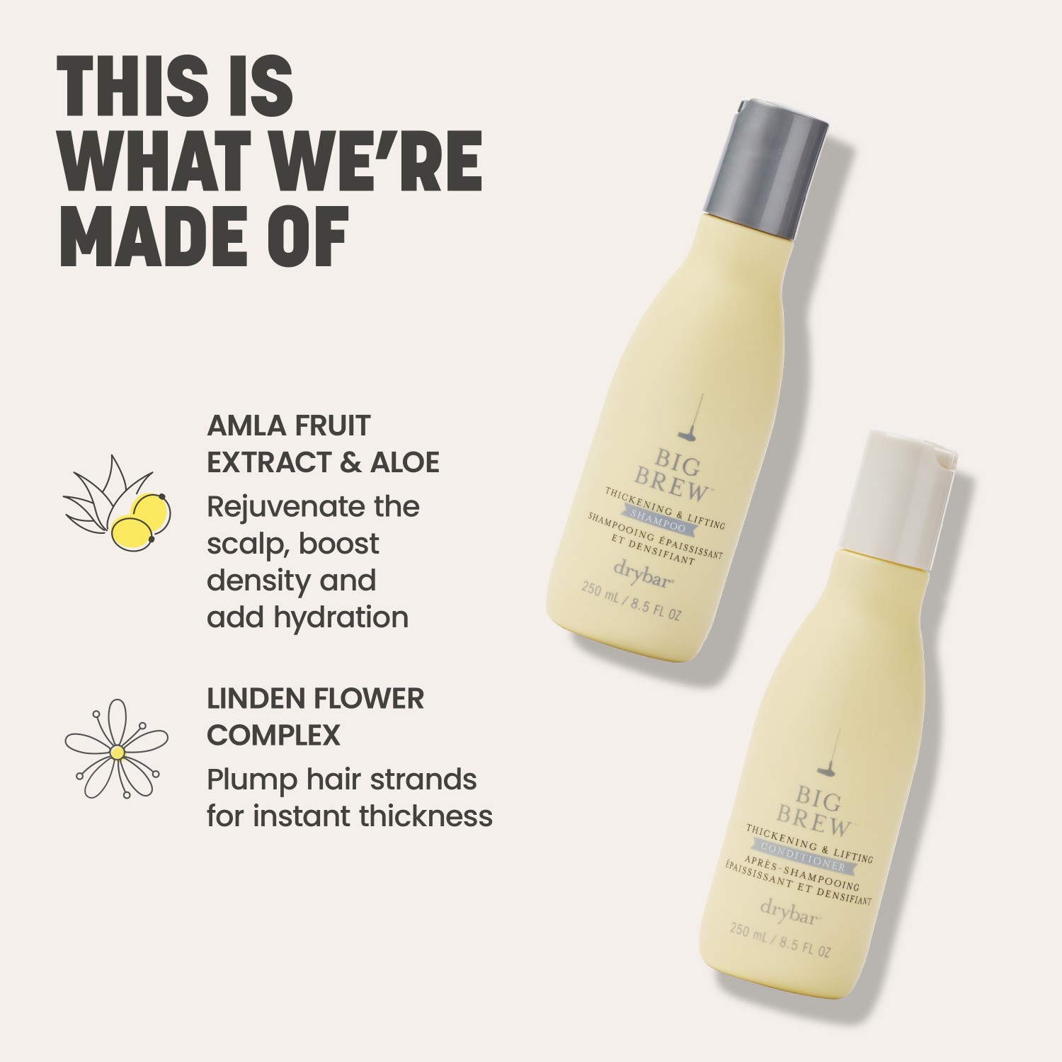 Big Brew Thickening Shampoo