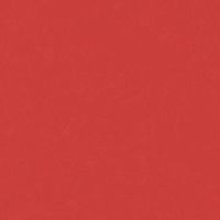 224 - PASSIONNANTE