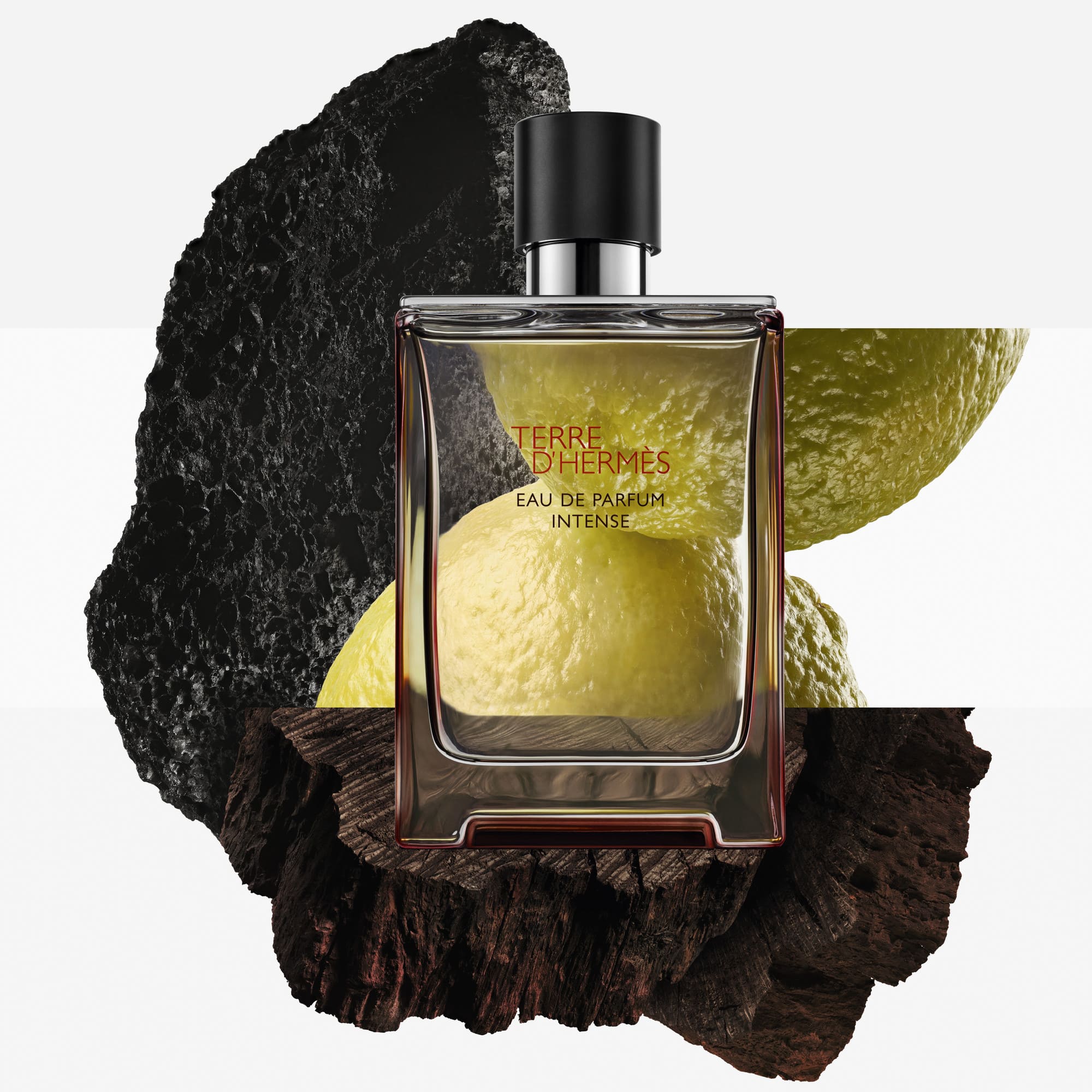 Terre D'Hermes Eau de Parfum Intense