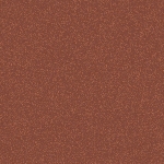 Shimmer Nude