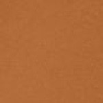 44 - Tan Warm