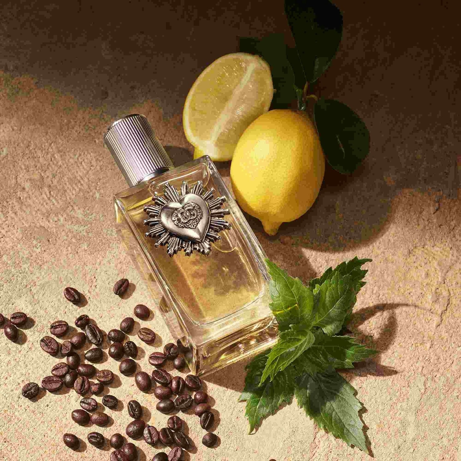 Devotion Men Eau de Parfum Spray
