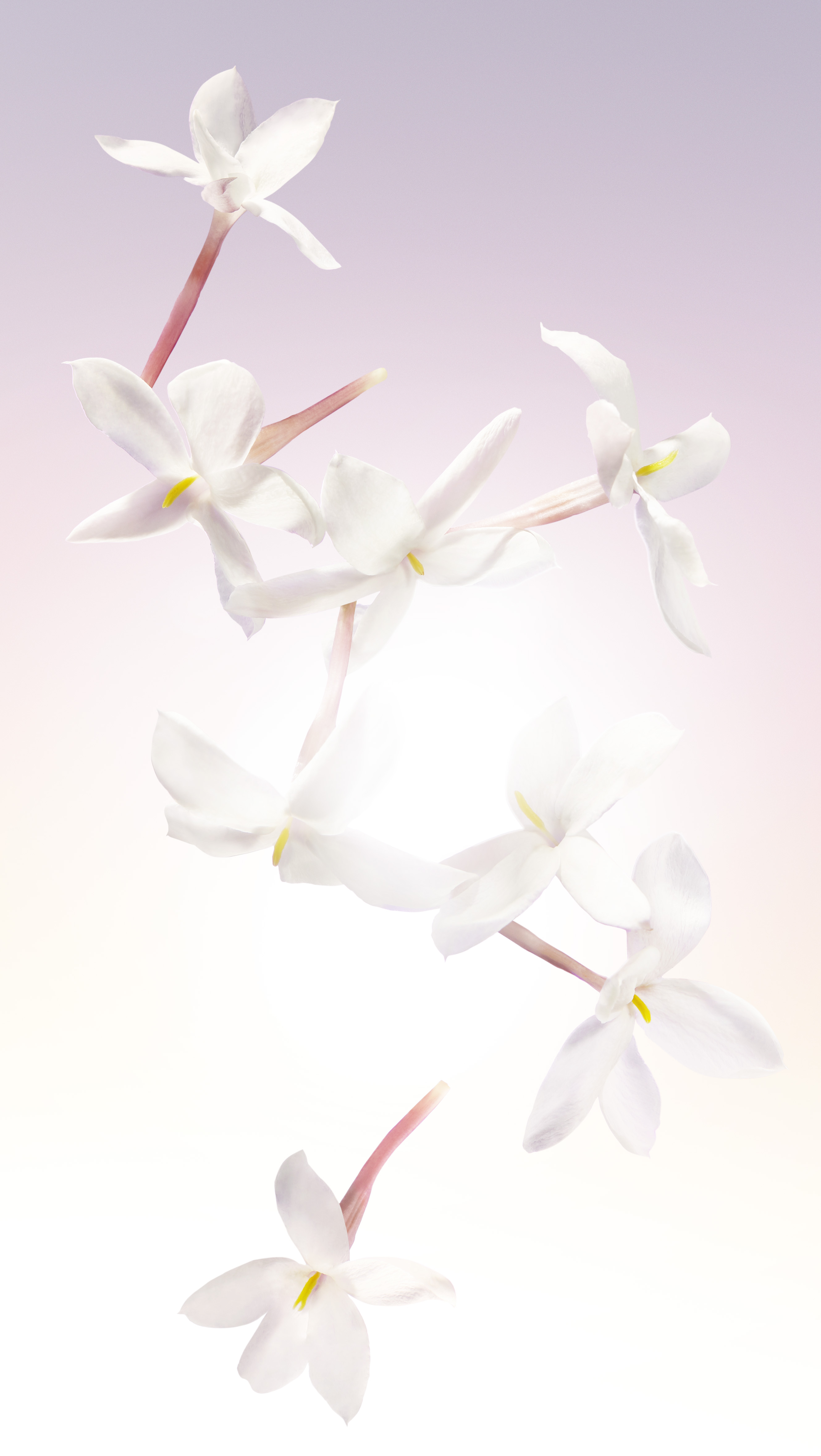 Idôle Eau de Parfum