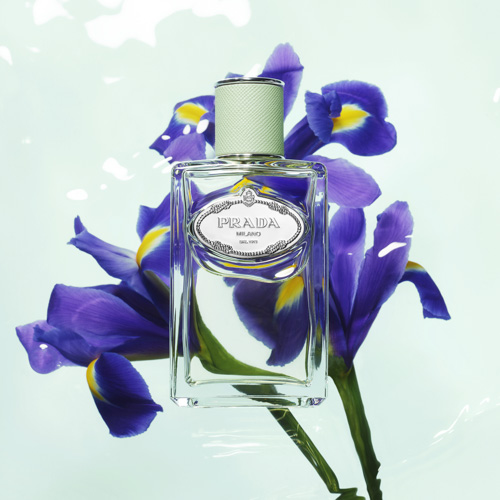 Infusion D Iris Eau de Parfum