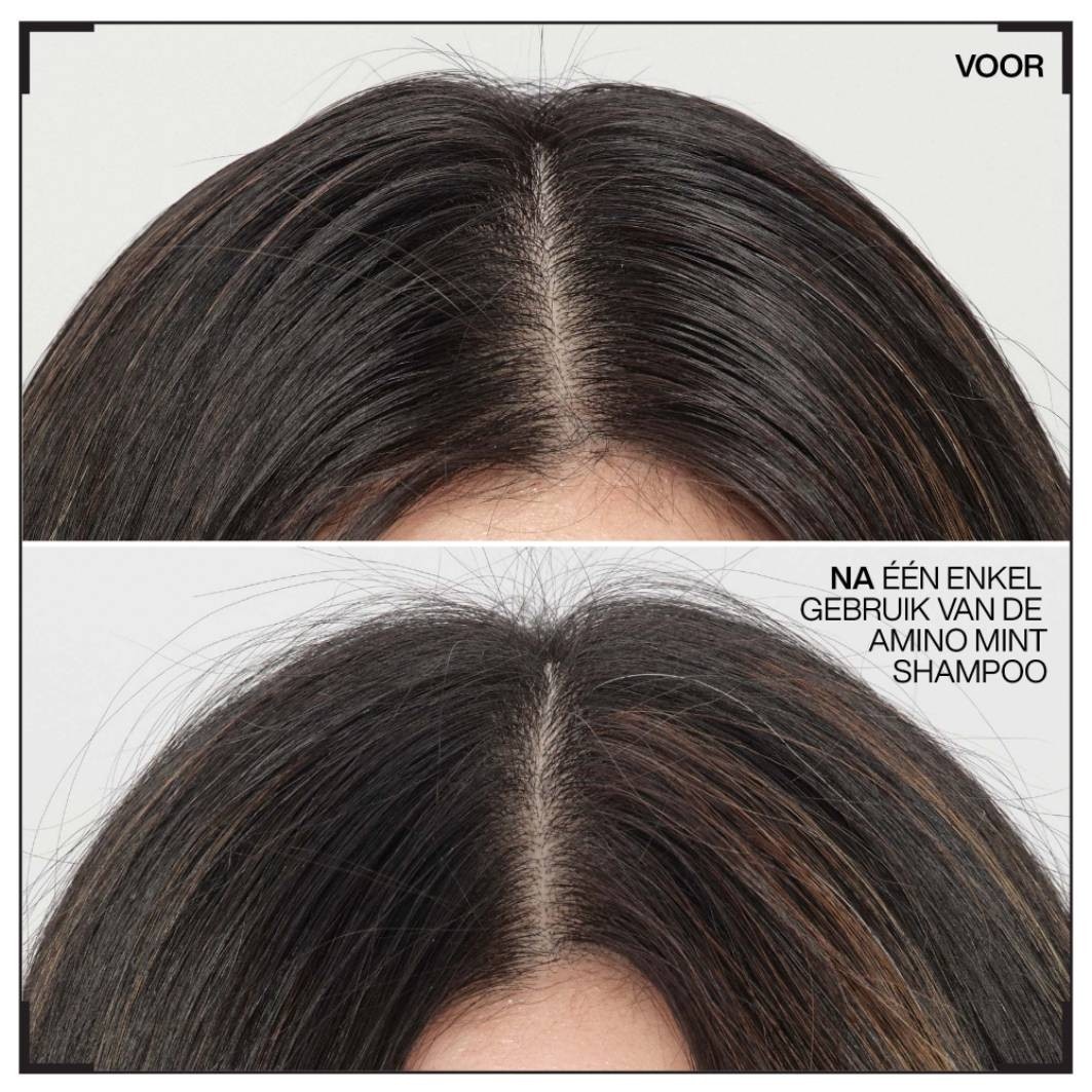 Scalp Relief Amino Mint Shampoo