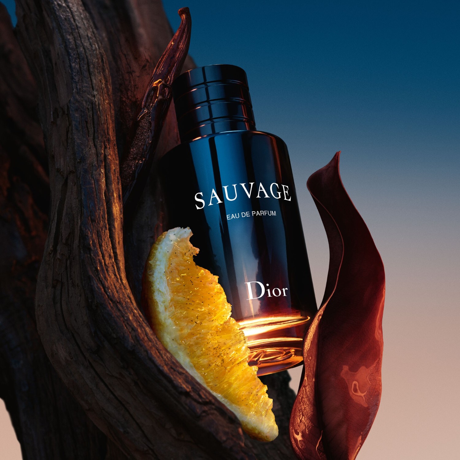 Sauvage Eau de Parfum  - Eau de parfum recarregável - Notas cítricas e abaunilhadas