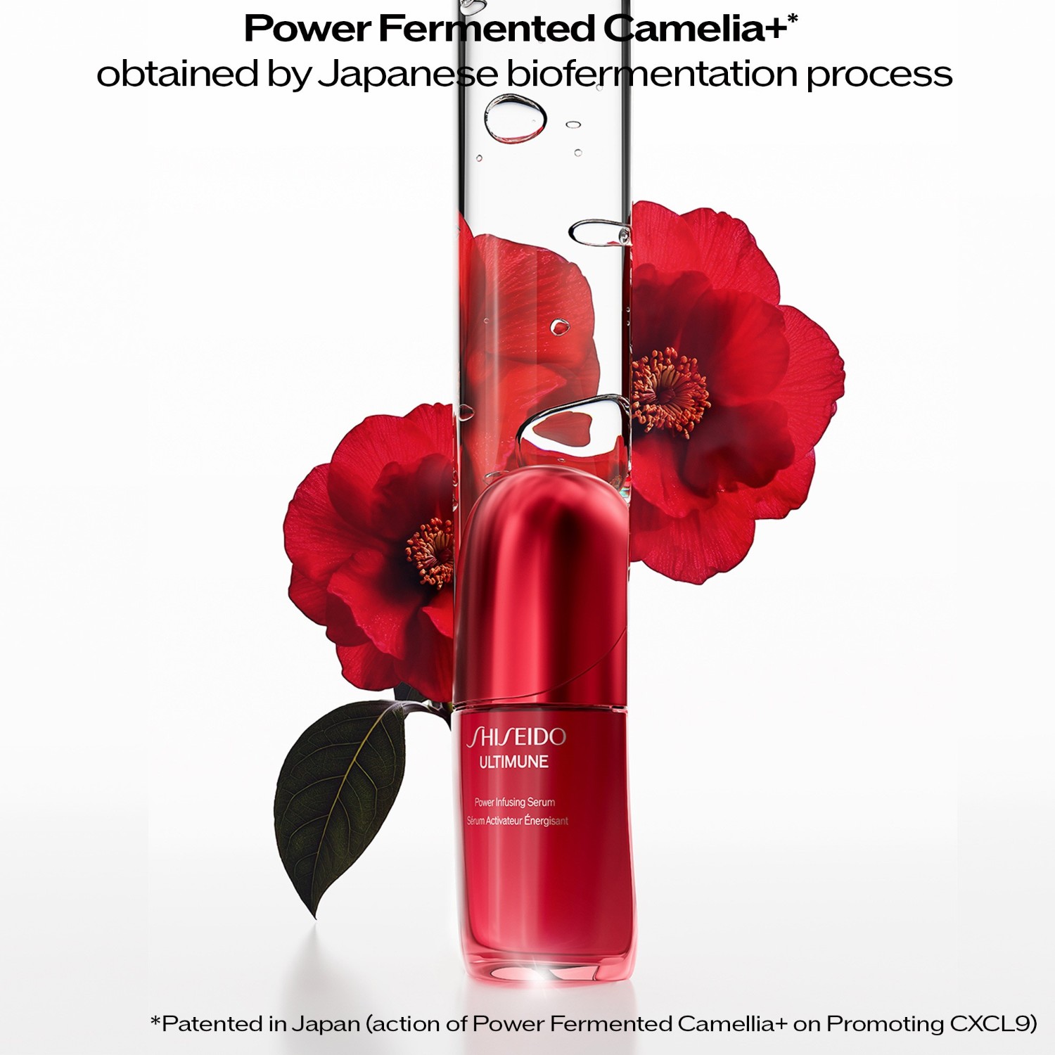 Power Infusing Serum