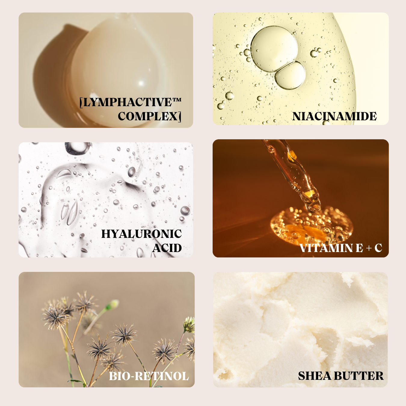 The Rich Cream