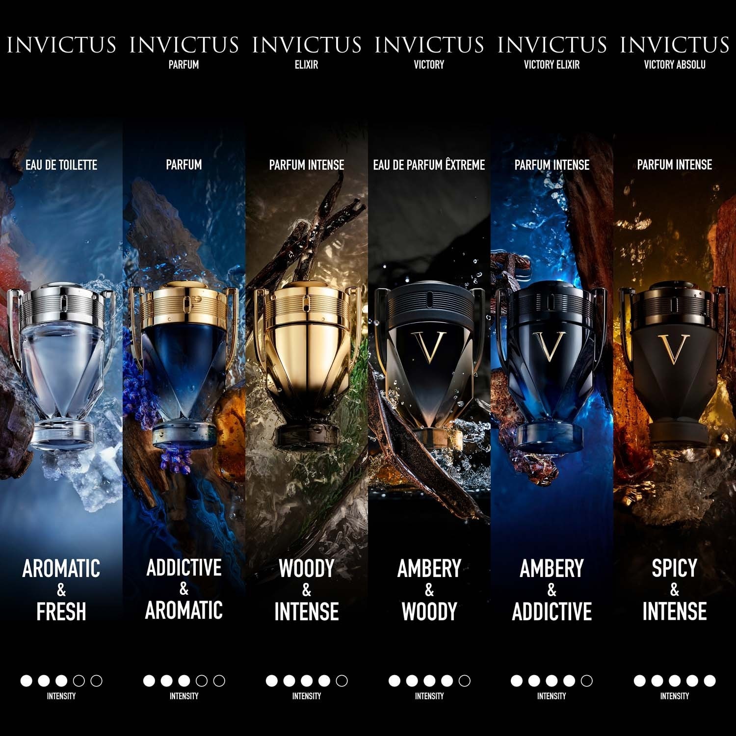 Invictus Parfum Elixir