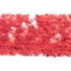 013 - Coral