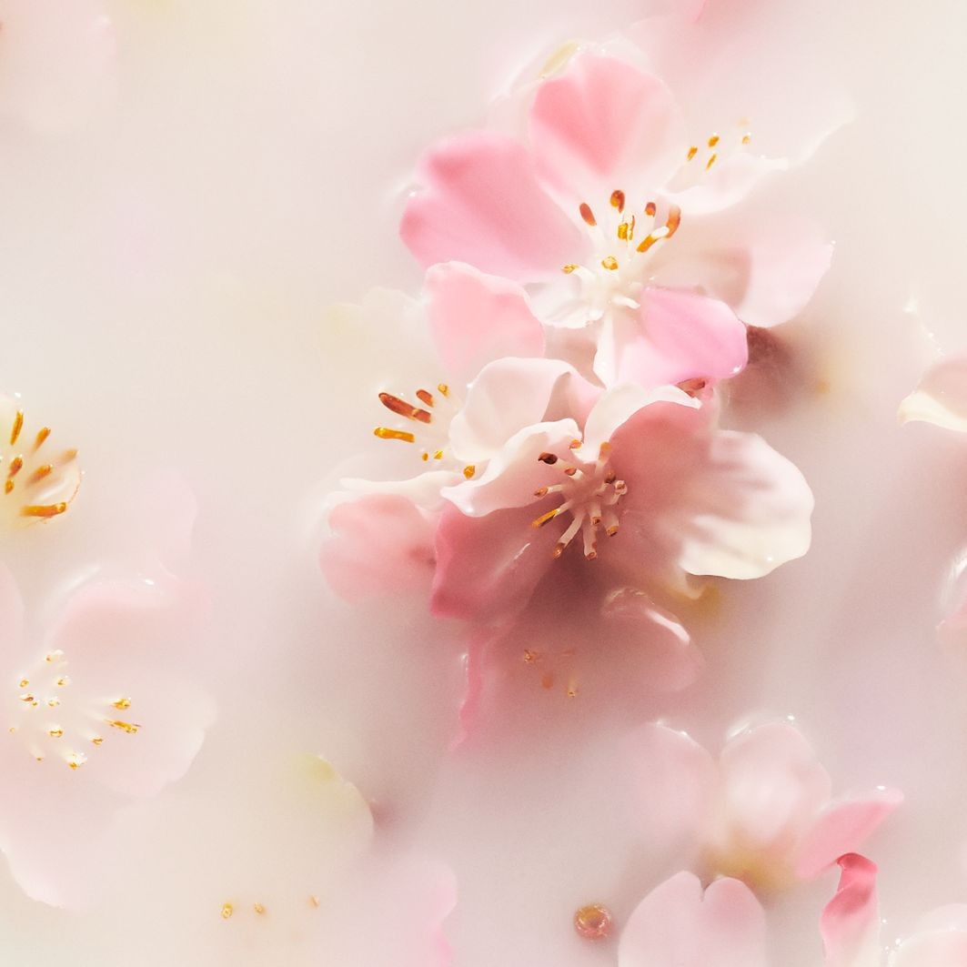 Fragrance Sticks