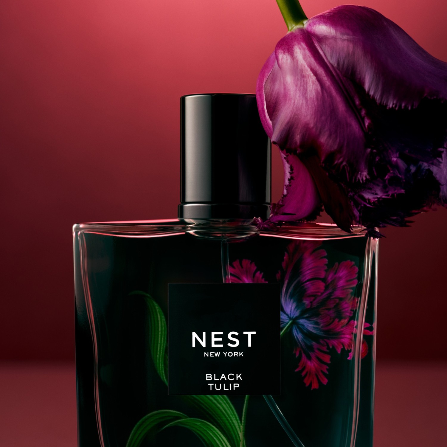 Black Tulip Eau De Parfum