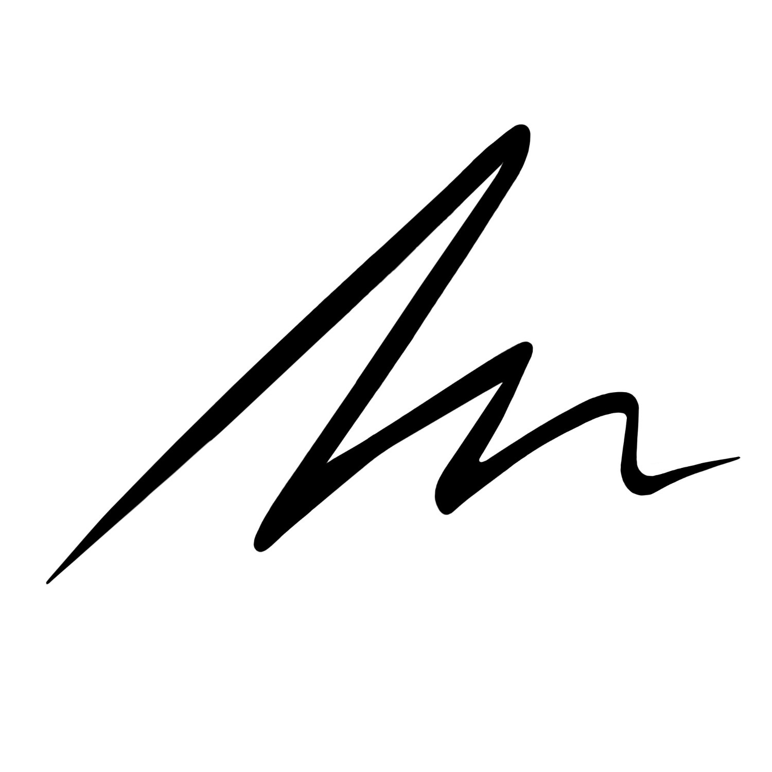Liquid Eyeliner Black