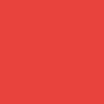  12 - Coral Excitement