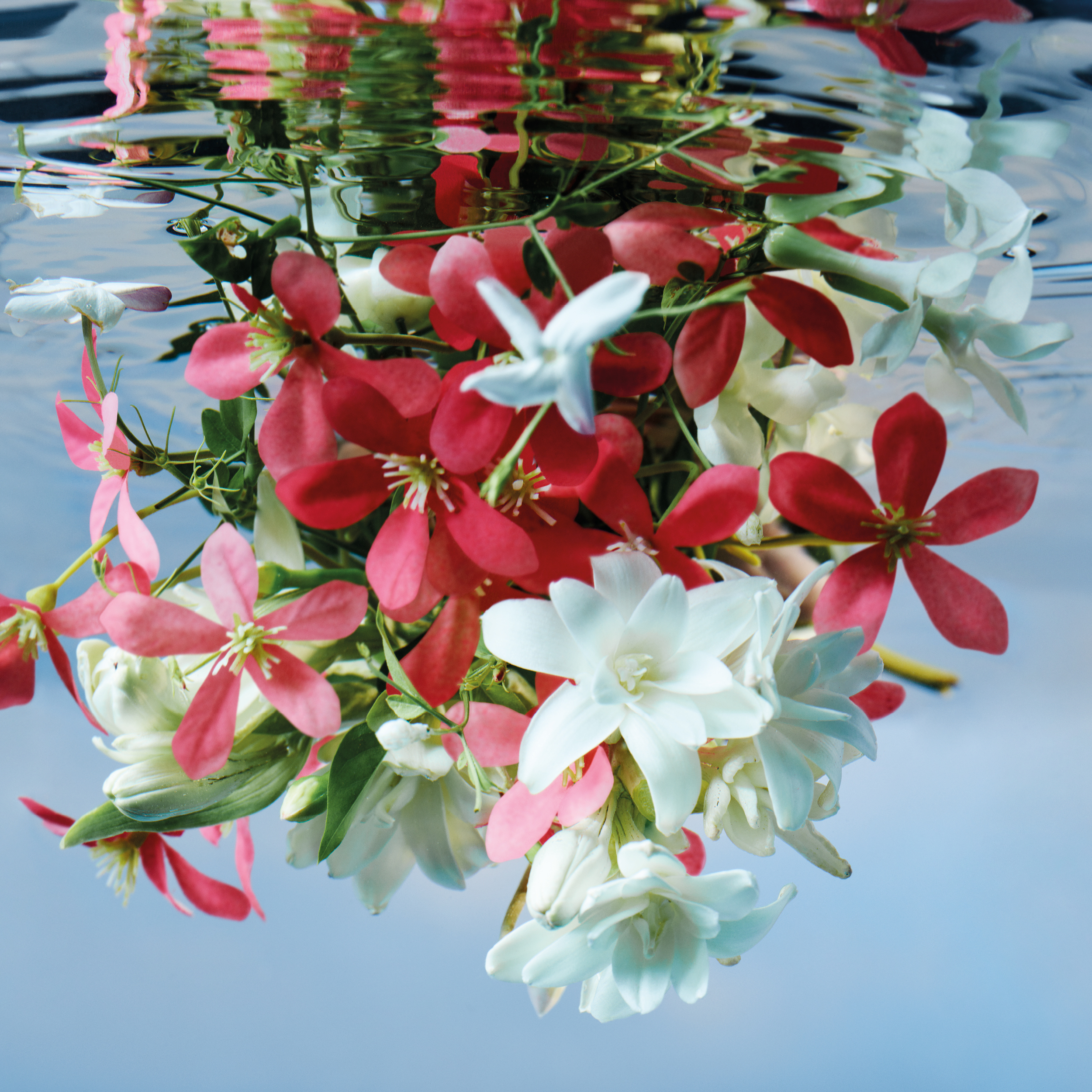 Bloom Eau de Parfum