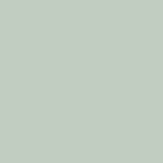301 Shimmer Mint