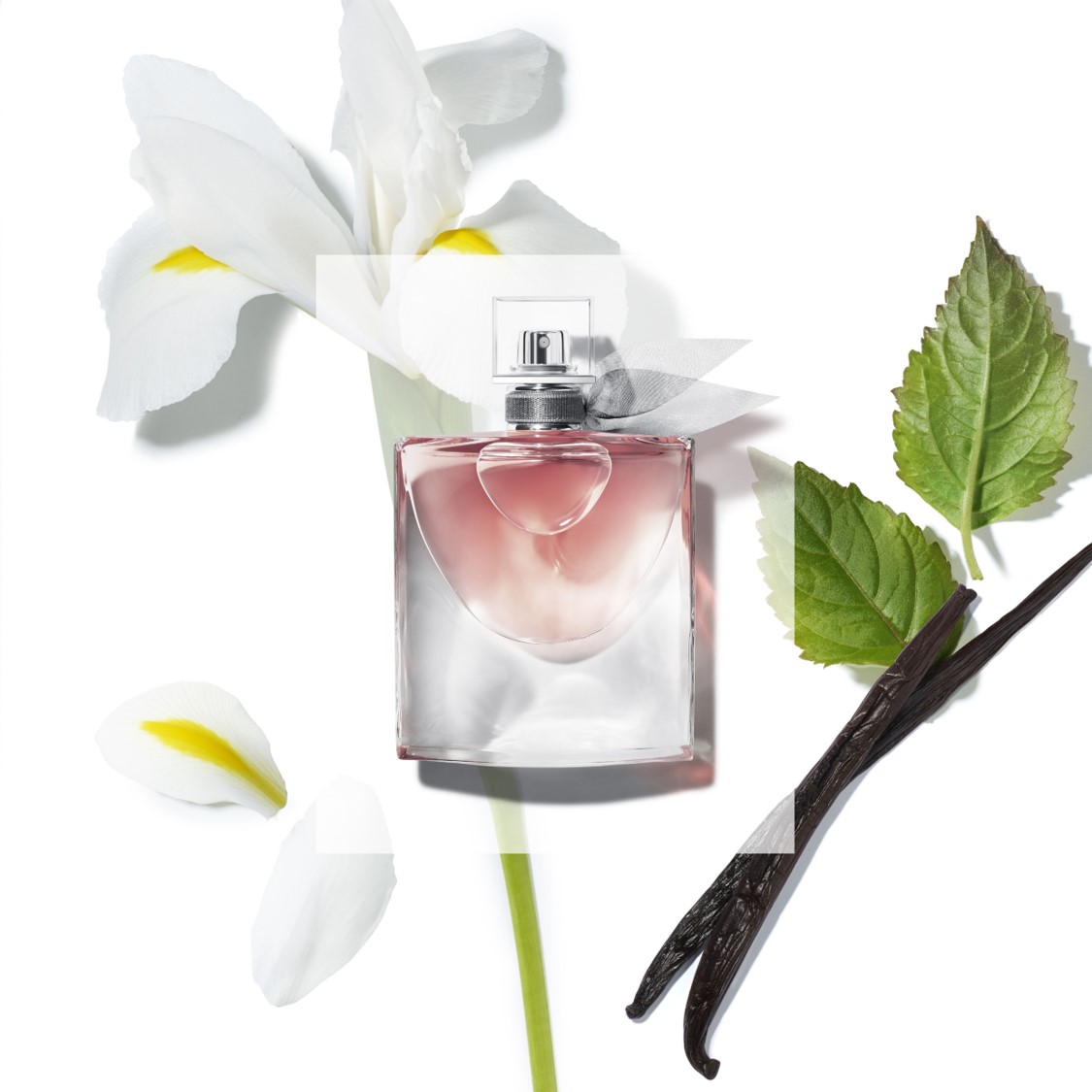 La Vie Est Belle Eau de Parfum