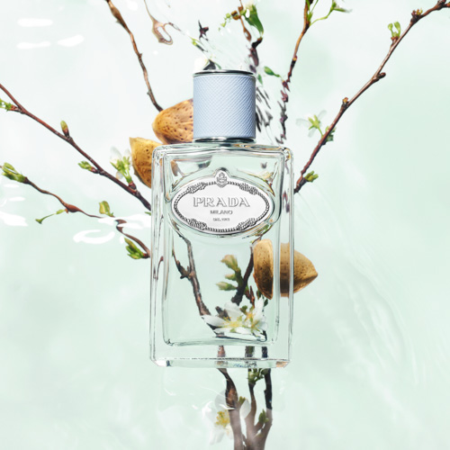 Infusion d´Homme Amande Eau de Toilette