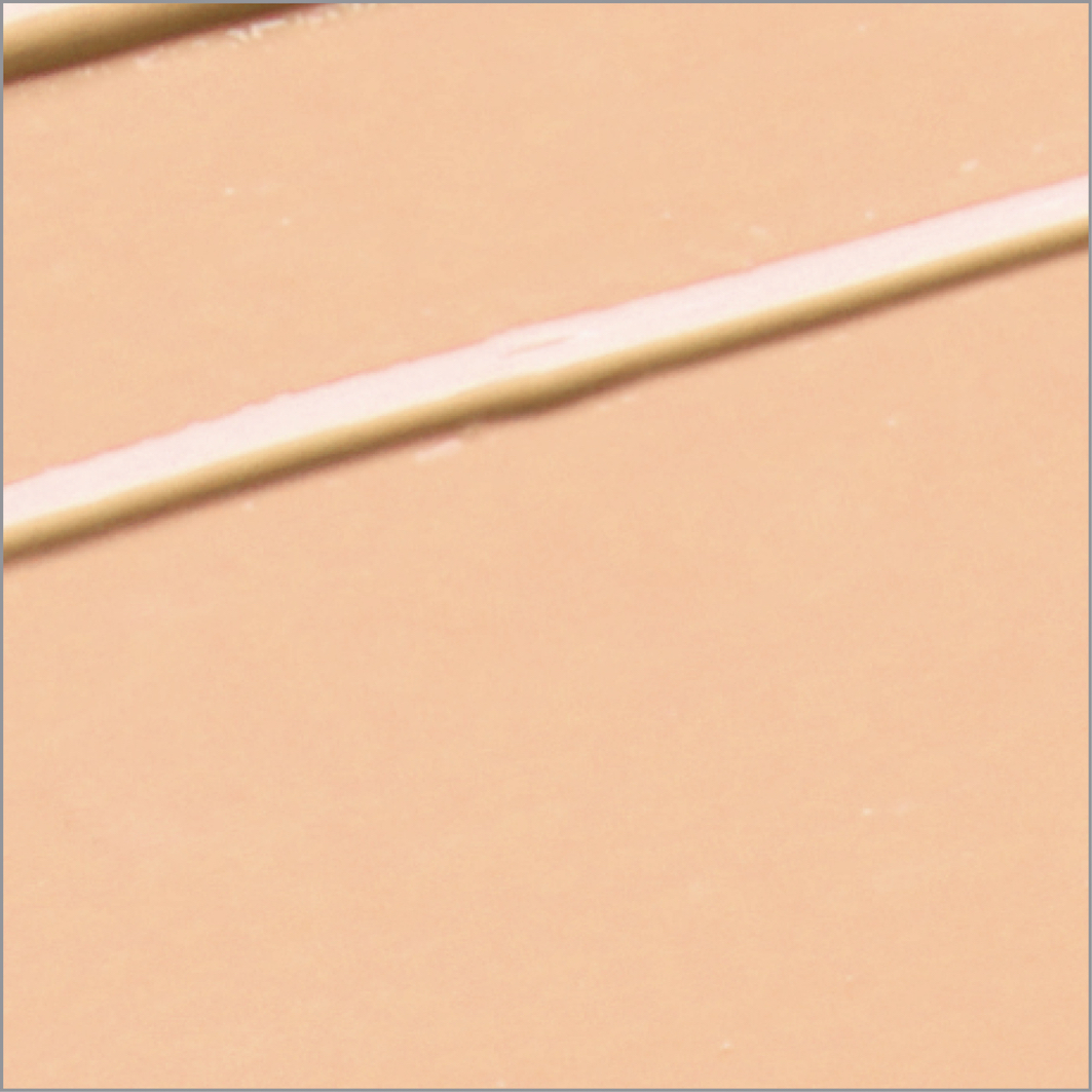 Perfecting Concealer