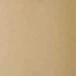 Beige 4D