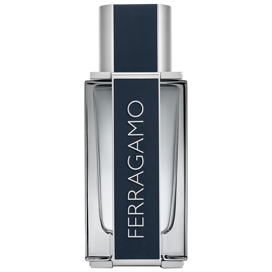 Salvatore Ferragamo - Ferragamo Men Eau de Toilette Spray -  100 ml