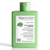 Teaology Matcha Repair Shampoo