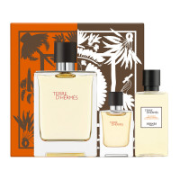 HERMÈS Terre D'Hermes Eau de Toilette 100Ml Set