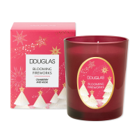 Douglas Collection Winter Full Of Stars Blooming Firework Candle