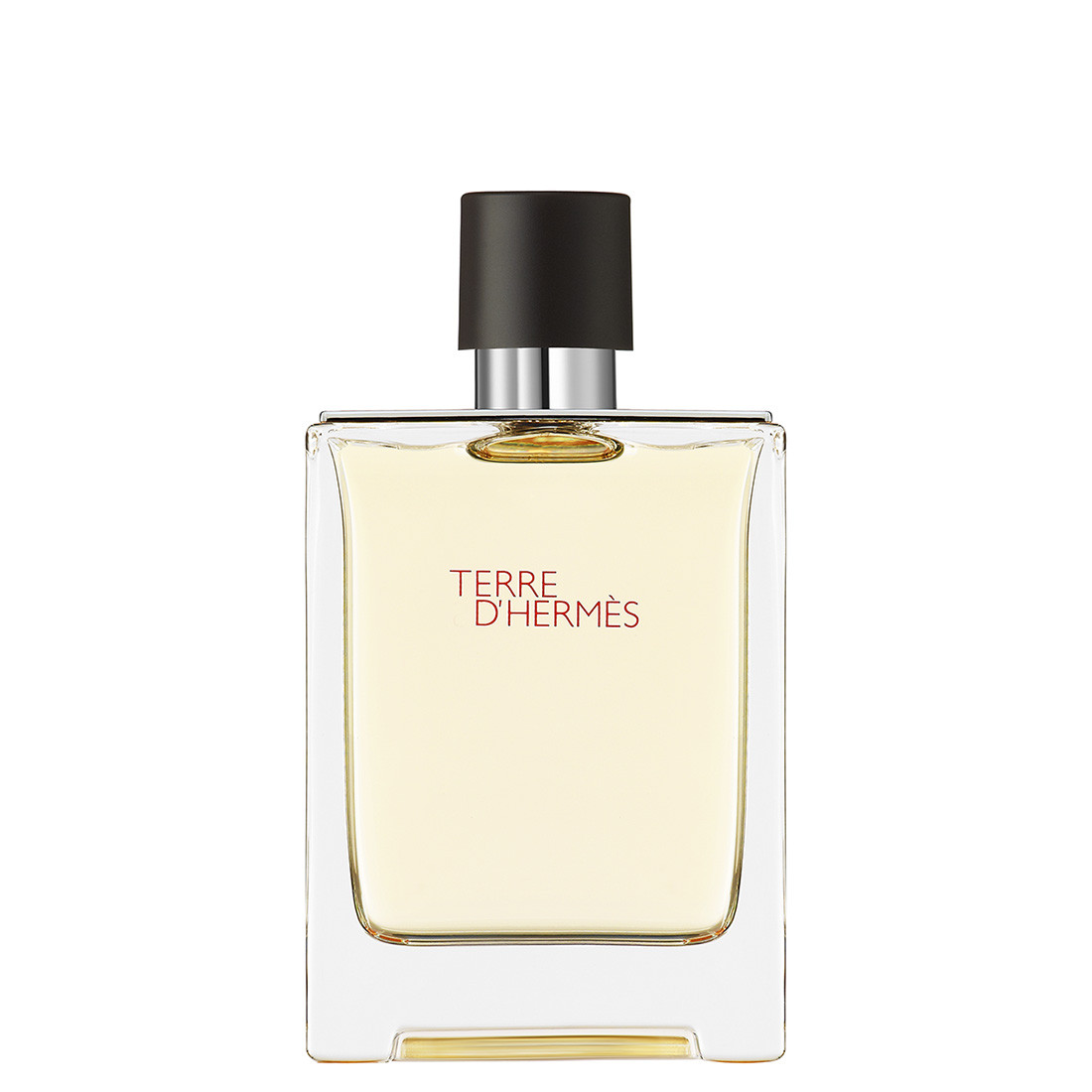HERMÈS - Terre d'Hermès Eau de Toilette - 100 ml