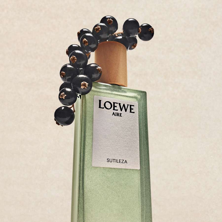 Loewe Aire Sutileza Eau de Toilette | DOUGLAS
