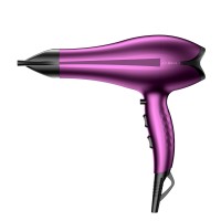 Ailoria Hair Dryer Mulberry