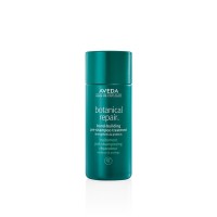 AVEDA Pre-Shampoo Treatment