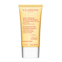 Clarins Gentle Foam Cleanser