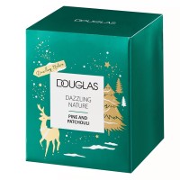 Douglas Collection Winter Express Dazzling Nature Candle