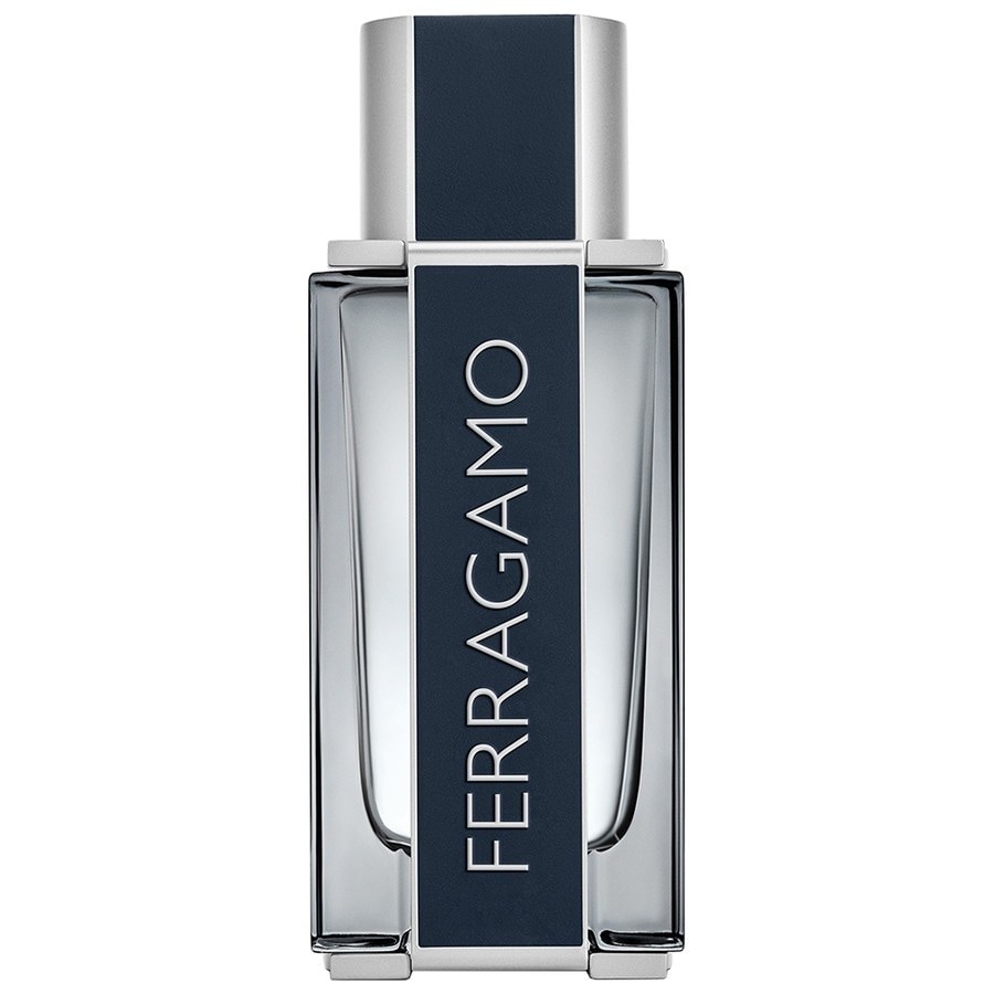 Salvatore Ferragamo - Ferragamo Men Eau de Toilette Spray -  50 ml