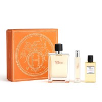 HERMÈS Terre D'Hermes Eau de Toilette Spray 100 Ml Set