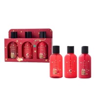 Douglas Collection Winter Wonder Bath Bottles Set