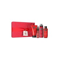 RITUALS The Ritual Of Ayurveda Small Gift Set